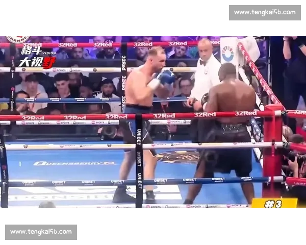 维尔德与史蒂文内巅峰对决背后的故事深度揭密全景解析震撼来袭篇