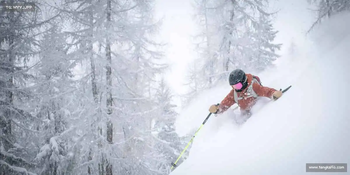 行业领先的理由